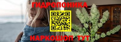 шишки Нягань