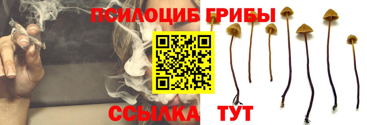 Галлюциногенные грибы ЛСД Рассказово